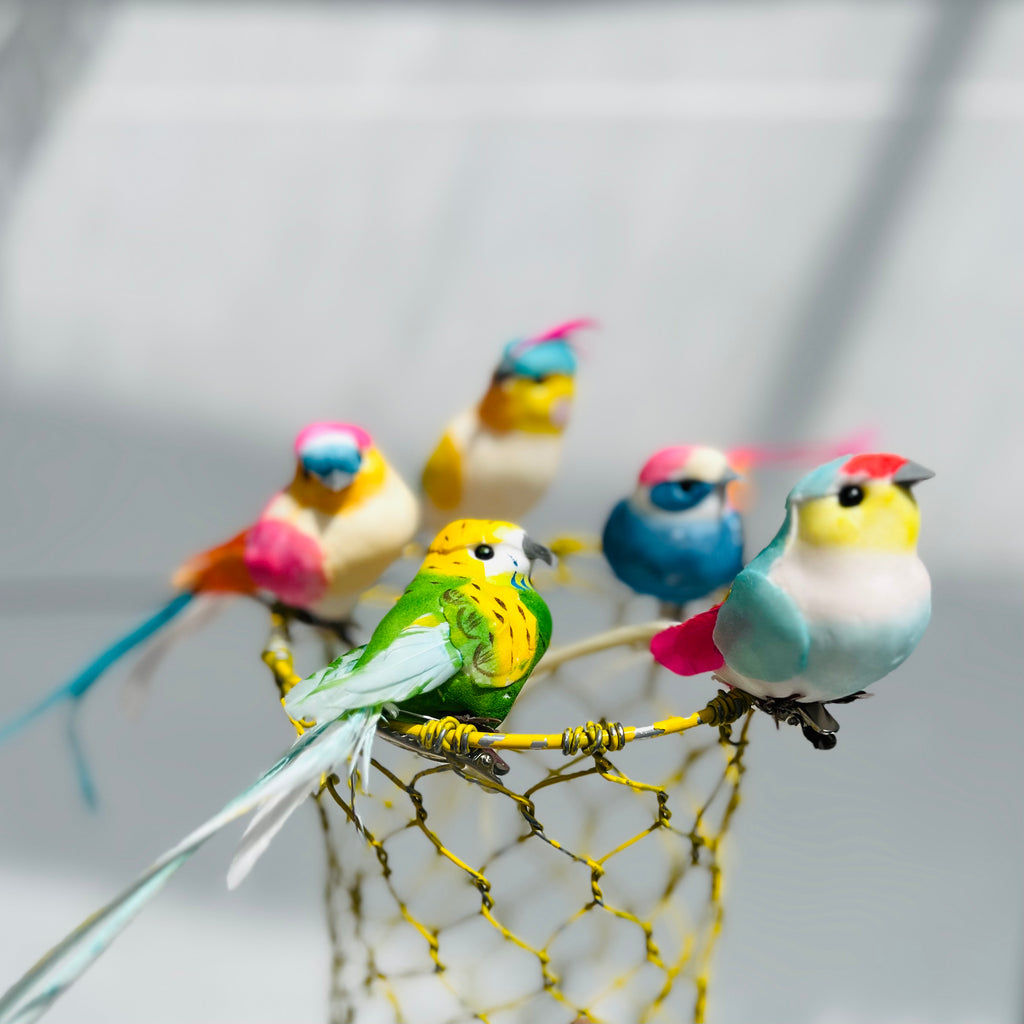Uccellini decorativi -  Italia